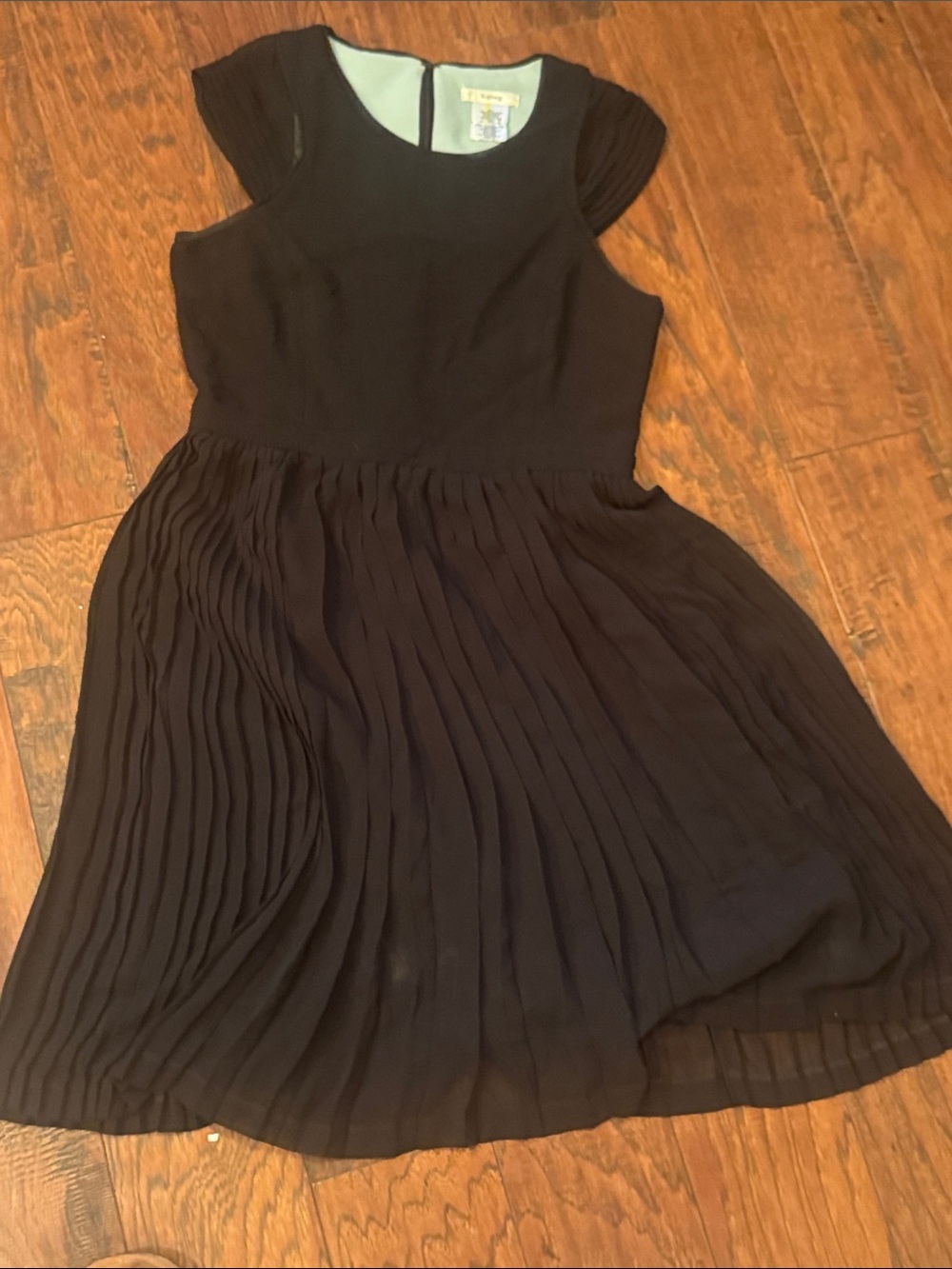Esley Black Pleated Sleeve Fit-and-Flare Dress